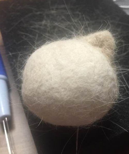 送給愛貓的親們，親手制作的貓毛氈教程，拿走不謝！