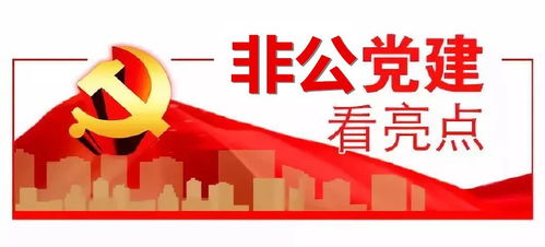 深化非公黨建創(chuàng)新實(shí)踐，拓展‘兩個(gè)覆蓋’夯實(shí)基礎(chǔ)電信業(yè)務(wù)根基
